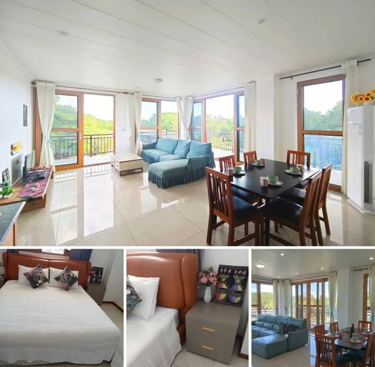 Comfortable & Affordable Apartments
