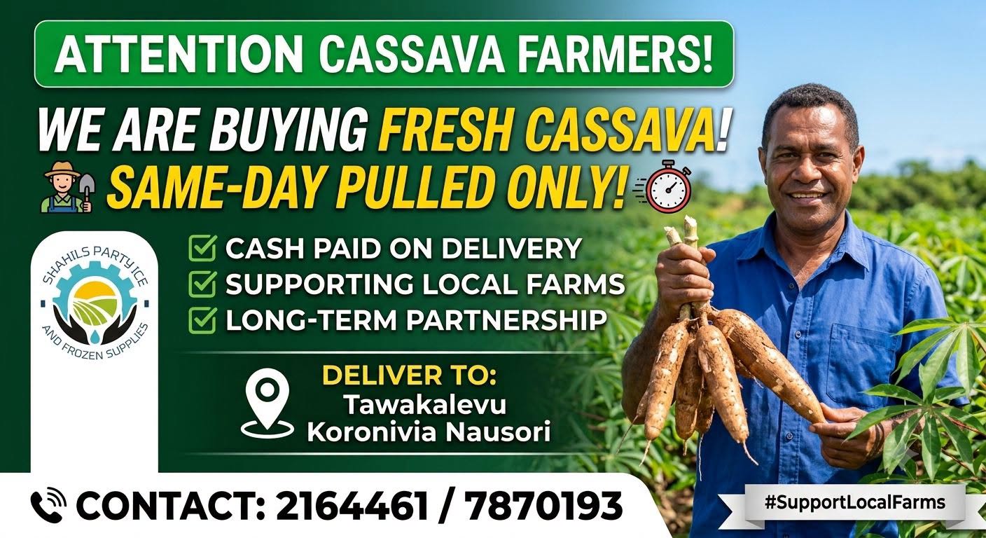 fresh cassava