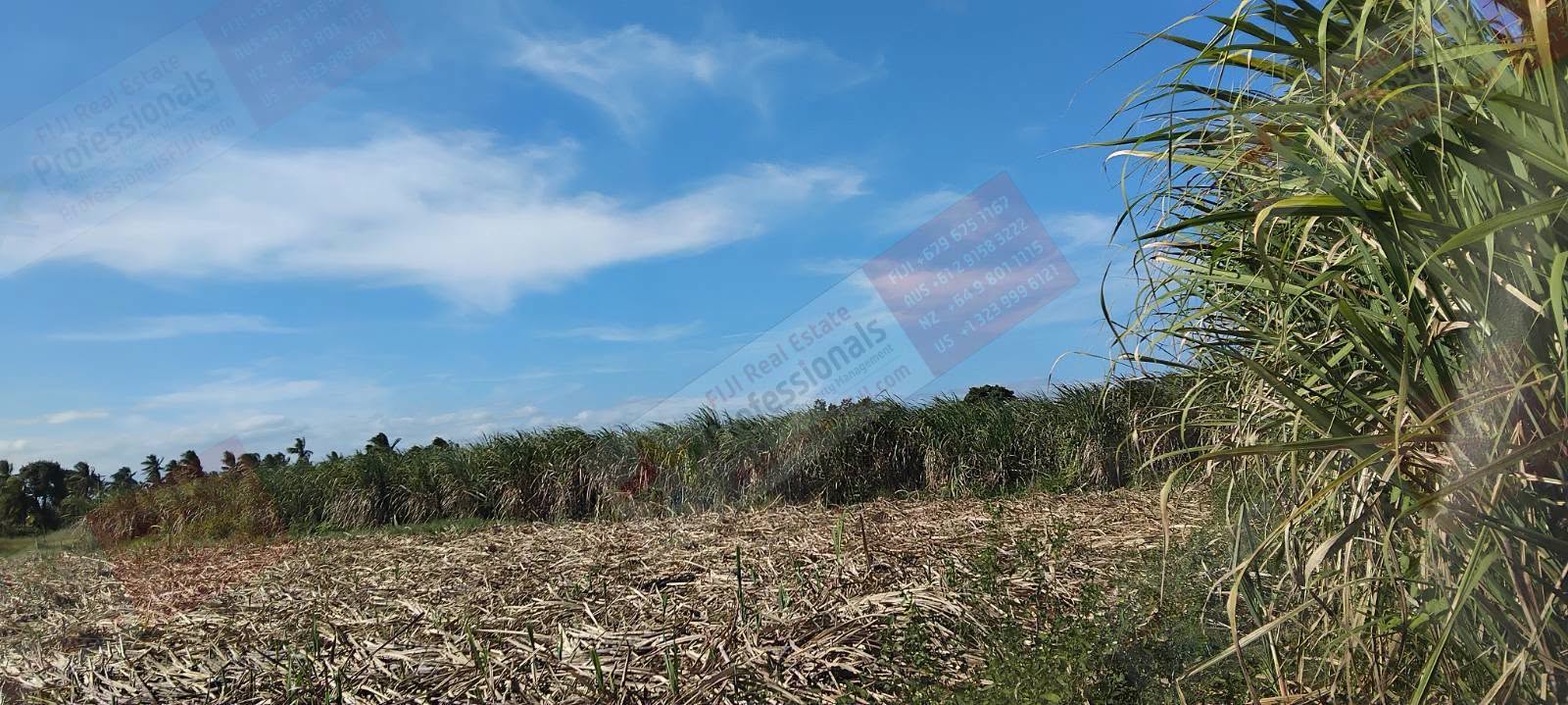 9.3 HECTARES OF PRIME AGRICULTURAL LAND