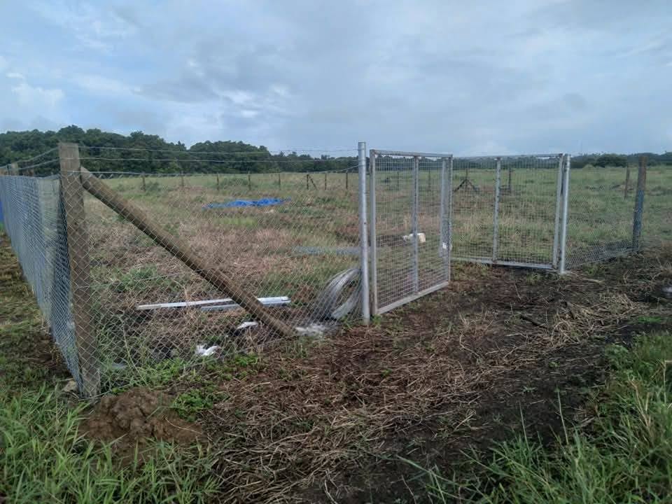 FARMLAND FOR LEASE