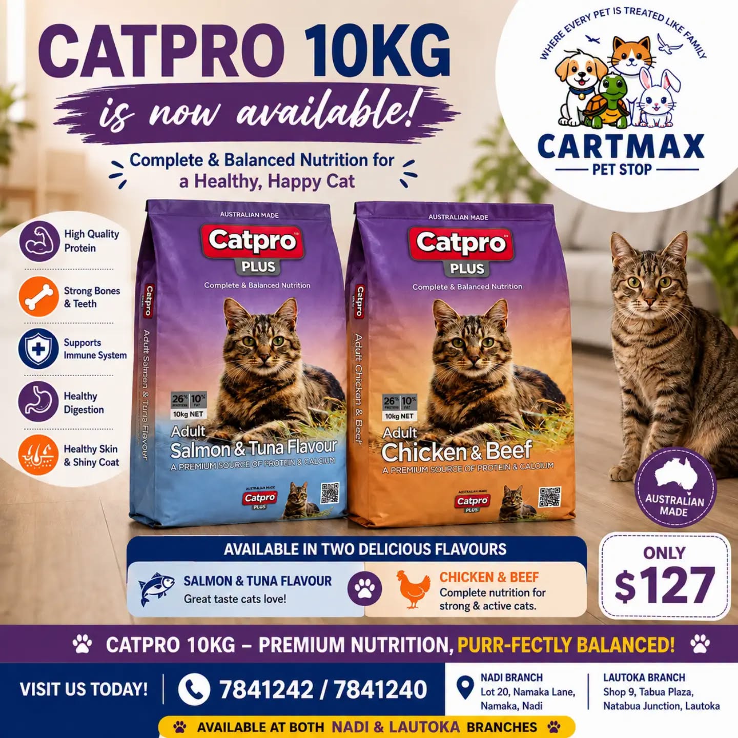 CATPRO 10KG IS NOW AVAILABLE!
