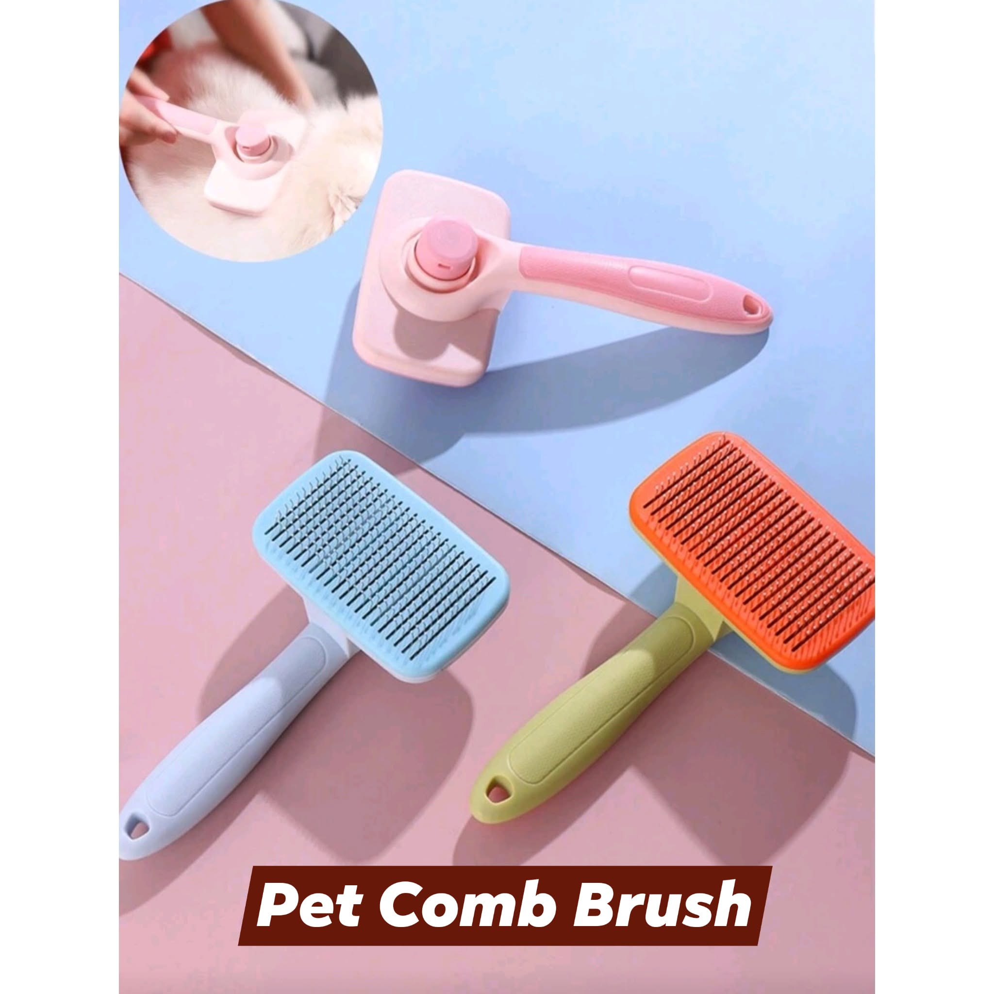 Spoil Your Pets with The Fiji Hub!